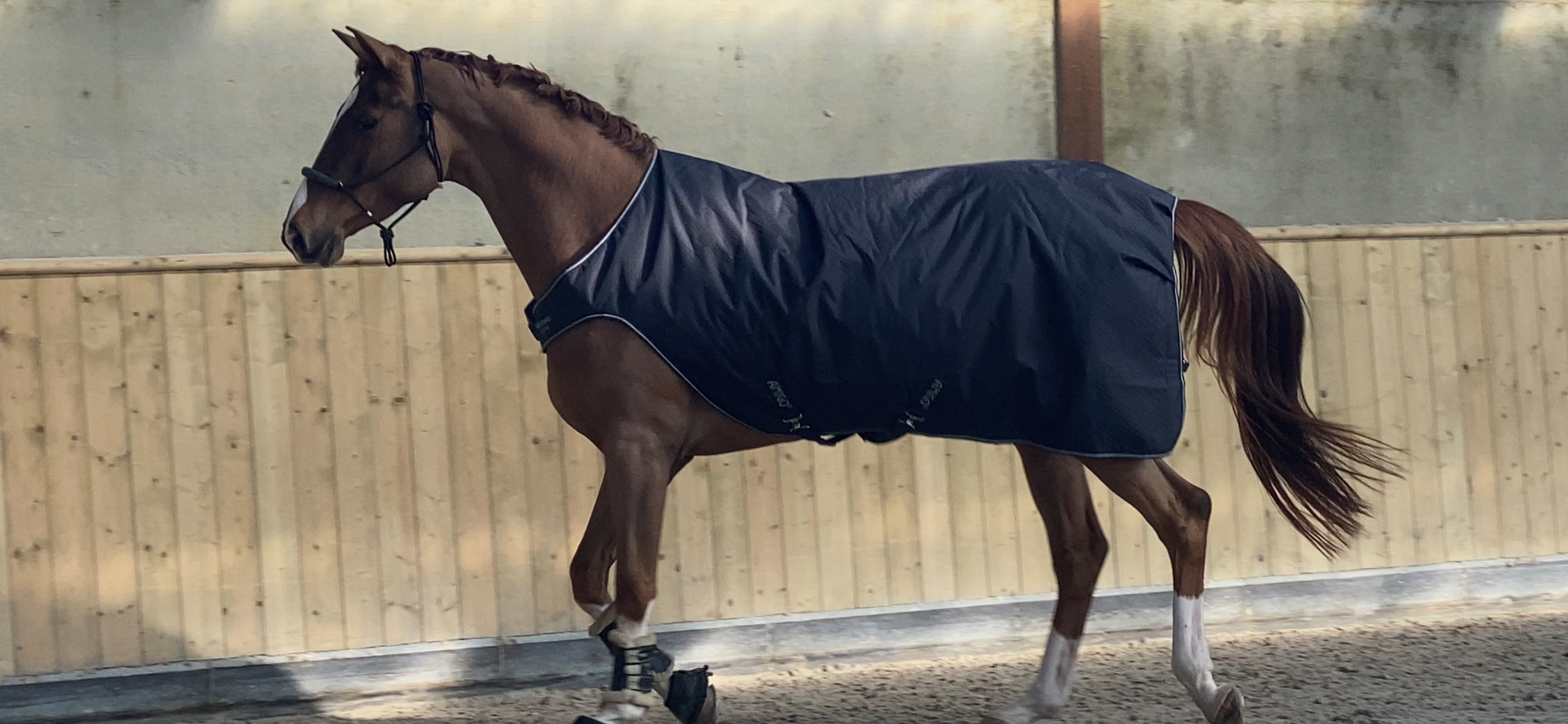 Eclipse Be To C Z – Image 3